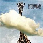Silver Ladder - CD Audio di Peter Mulvey