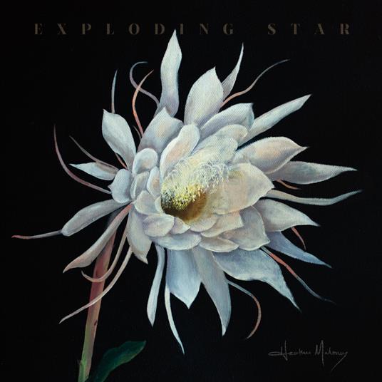 Exploding Star - Vinile LP di Heather Maloney