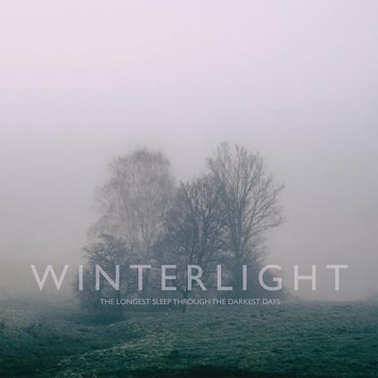 Longest Sleep Through the Darkest Days - Vinile LP di Winterlight