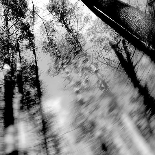 Totems - Vinile LP di Loess