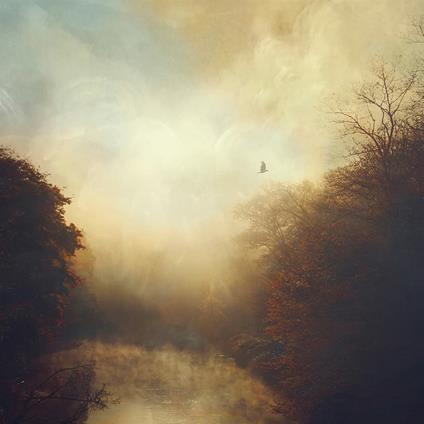 This Light - Vinile LP di Stray Theories