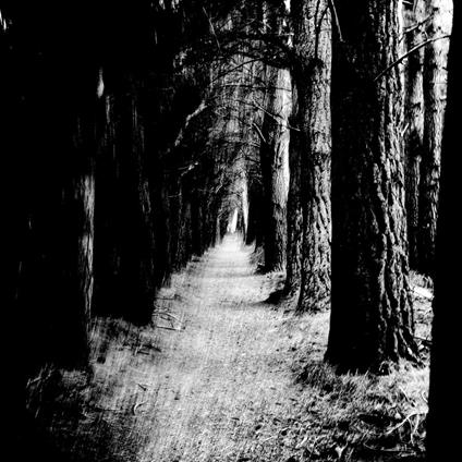 Falter - Vinile LP di Stray Theories