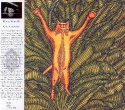 Gatos do sul - CD Audio di Brian Marsella