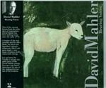Hearing Voices - CD Audio di David Mahler