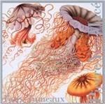 Faux-Jumeaux - CD Audio di Pierre-Yves Mace