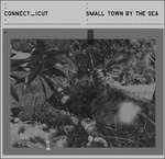 Small Town By the Sea