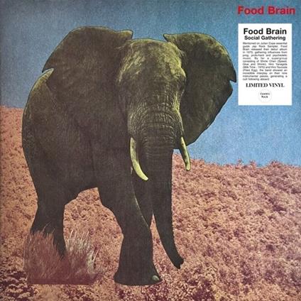 Social Gathering - Vinile LP di Food Brain