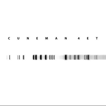Cuneman Quartet - CD Audio di Cuneman Quartet