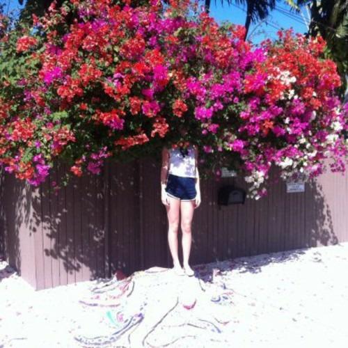 Sunlight on the Moon - Vinile LP di Elf Power