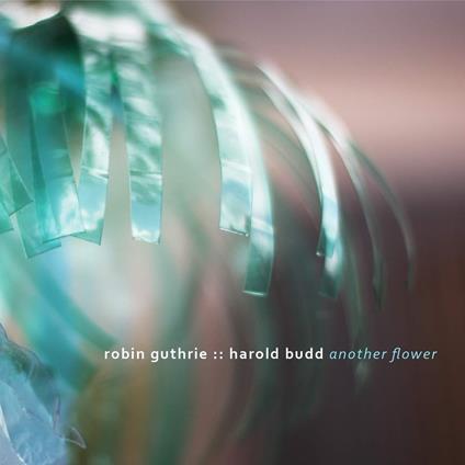 Another Flower - CD Audio di Harold Budd,Robin Guthrie