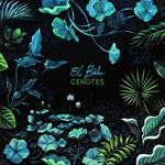 Cenotes
