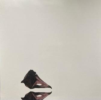 The New Backwards - Clear Edition - Vinile LP di Coil