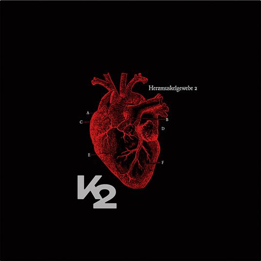 Herzmuskelgewebe - Vinile LP di K2