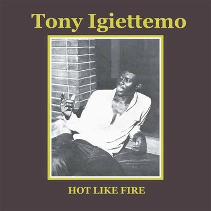 Hot Like Fire - CD Audio di Tony Igiettemo