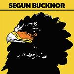 Segun Bucknor