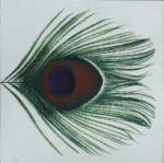 Apple Venus vol.1 - CD Audio di XTC