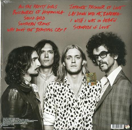 Pinewood Smile - Vinile LP di Darkness - 2