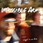 Ripped in No Time - CD Audio di Impossible Arms