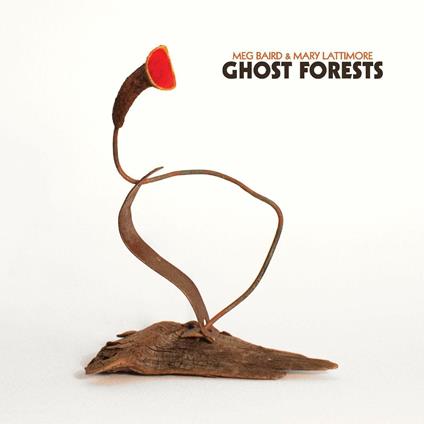 Ghost Forests - CD Audio di Meg Baird,Mary Lattimore