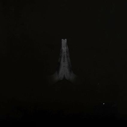 Rise - Vinile LP di Sault