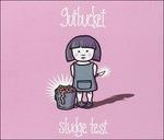 Sludge Test