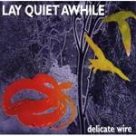 Delicate Wire