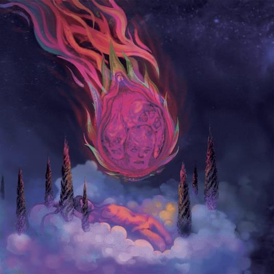 Dragonfruit - Vinile LP di Plastic Woods