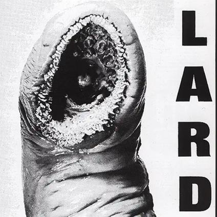 Power of Lard - Vinile LP di Lard