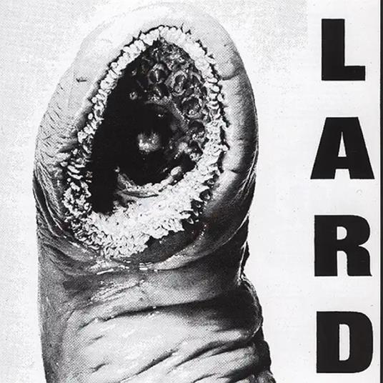 Power of Lard - Vinile LP di Lard