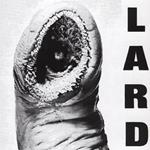 Power Of Lard (White Vinyl)