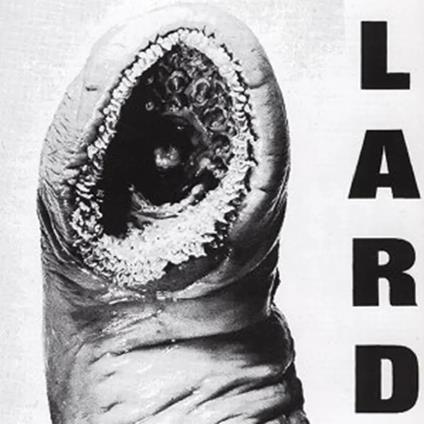 Power Of Lard (White Vinyl) - Vinile LP di Lard