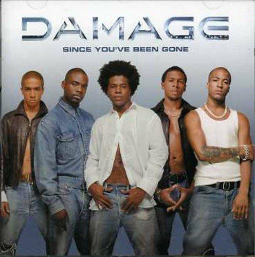 Since You've Been Gone - CD Audio di Damage