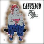 Feast of Wire - CD Audio di Calexico