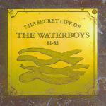 The Secret Life of the Waterboys '81-'85