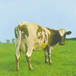 Atom Heart Mother - CD Audio di Pink Floyd