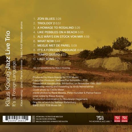 It's a Foreign Language - CD Audio di Klaus Koenig - 2