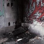 In Trux We Pux 04