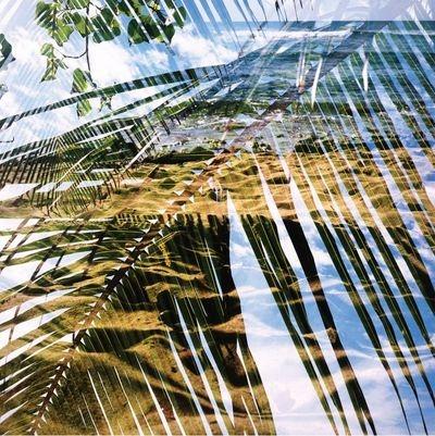 Dogs On Acid - Vinile LP di Dogs on Acid