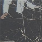 Wilderness - CD Audio di Cemeteries