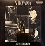 In The Bloom - Italy November 26, 1989