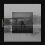 Mute Swan - Vinile LP di Braille