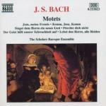 Mottetti BWV225, BWV226, BWV227, BWV228, BWV229, BWV230 - CD Audio di Johann Sebastian Bach