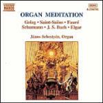 Organ Meditation - CD Audio di Janos Sebestyen