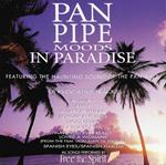 Pan Pipe Moods In Paradise