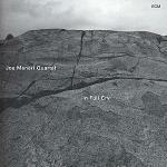 In Full Cry - CD Audio di Joe Maneri