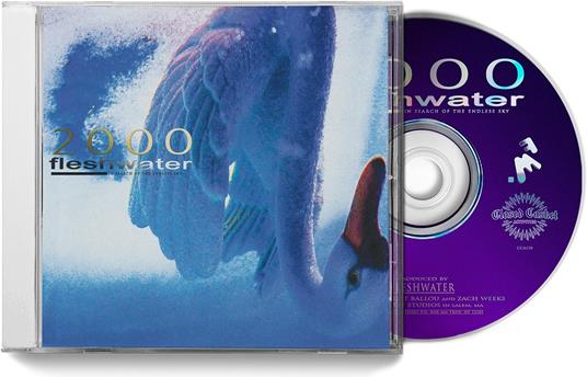 2000. In Search Of The Endless Sky - CD Audio di Fleshwater