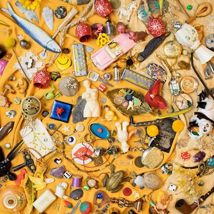 For The Birds - Vinile LP di Neighbor Lady