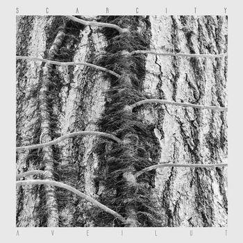 Aveilut - Vinile LP di Scarcity