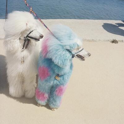 Advertise Here - Vinile LP di Exek