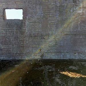 In Search of the Miraculous - CD Audio di Desperate Journalist